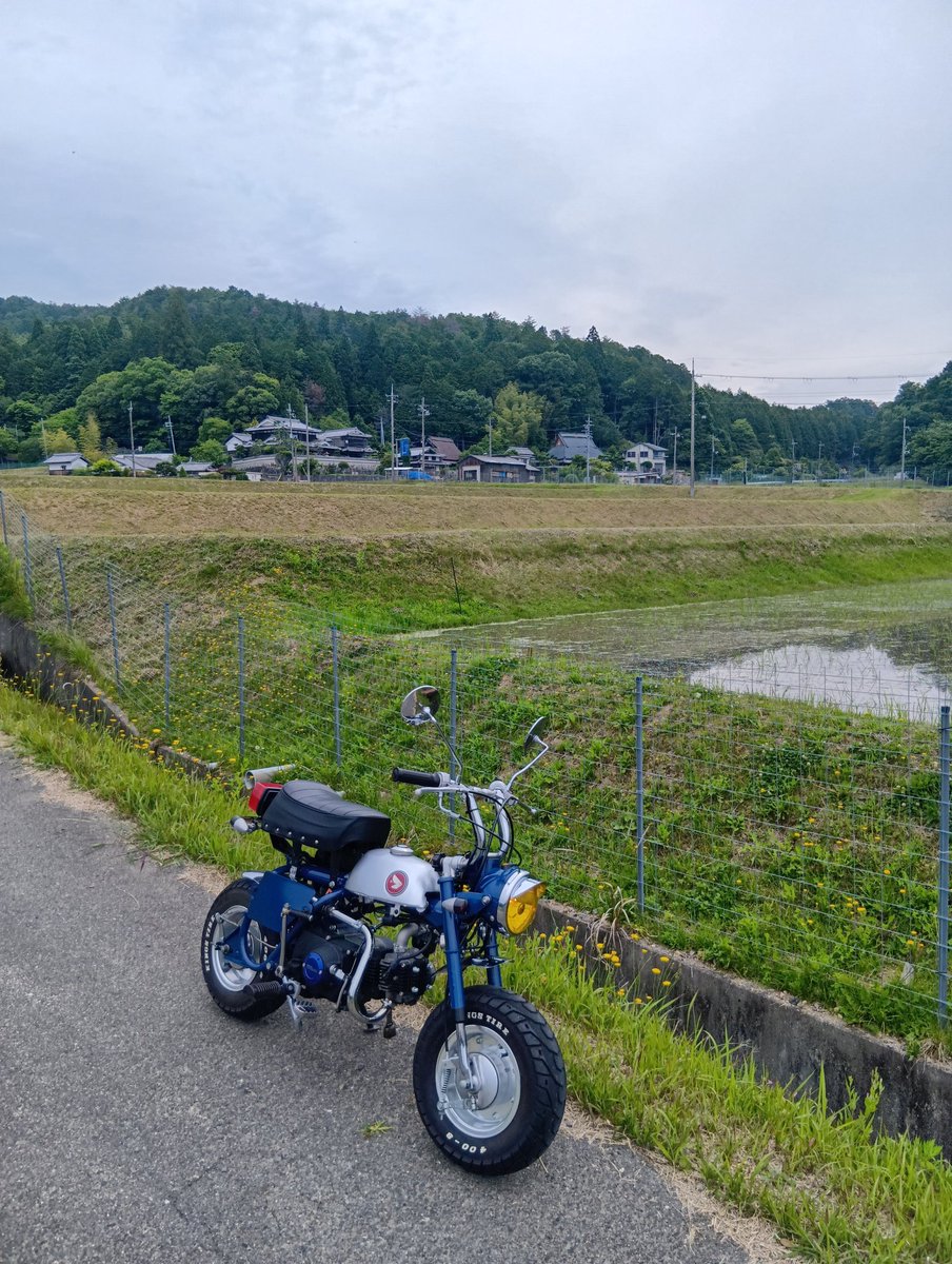 G3Mtomozo6565's tweet photo. 久しぶりのモンキー https://t.co/56sVYomaka