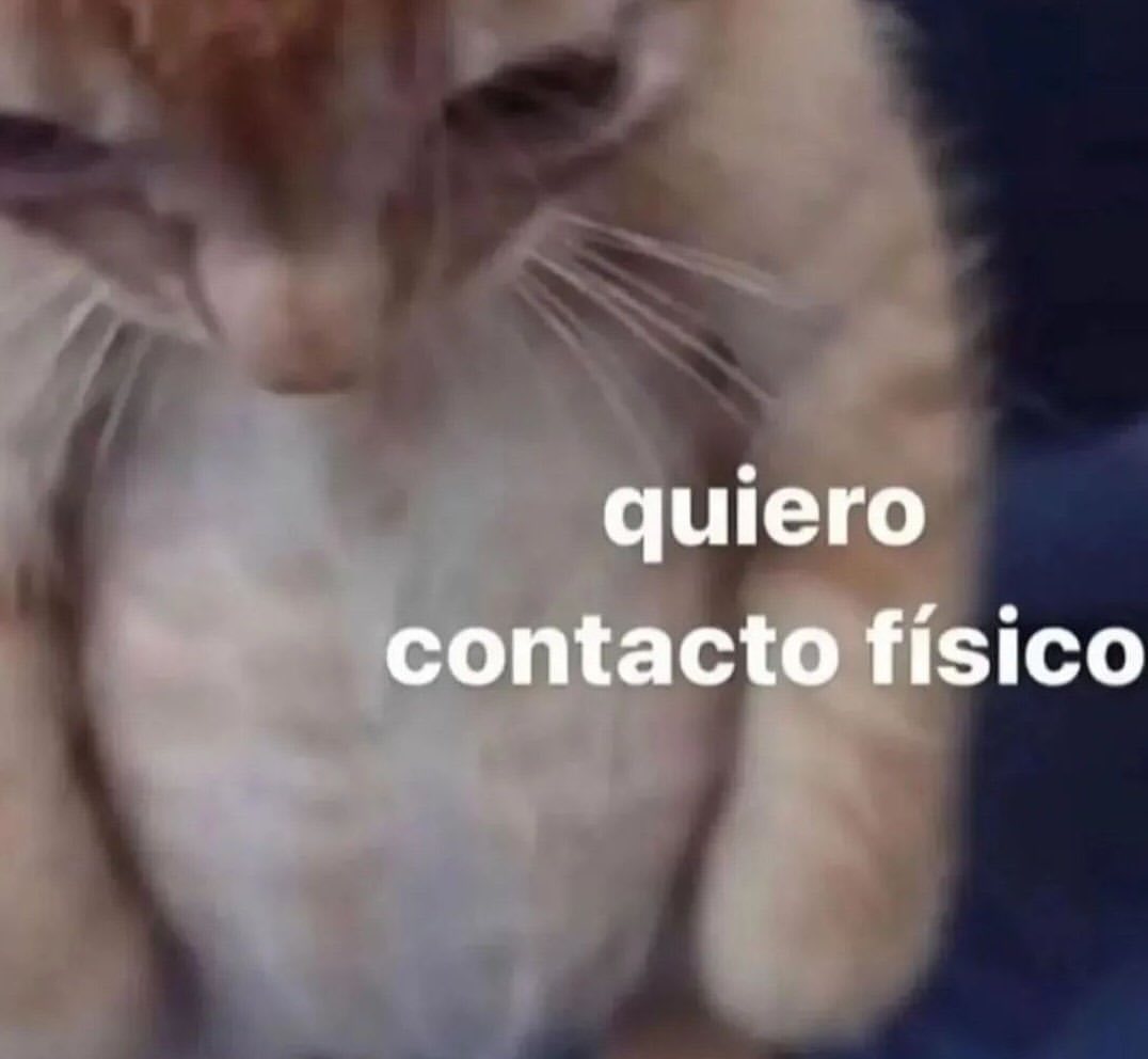 posts que eu me indentifico (@engualeukkk) on Twitter photo 