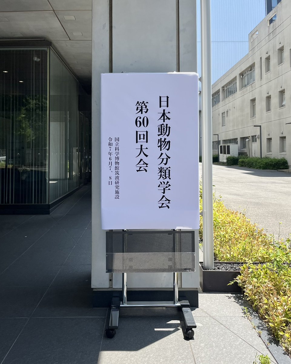 SetiamargaD's tweet photo. Gave a talk at the Annual Conference of the Japanese Society of Zoological Systematics and Taxonomy, about our latest work on the vampire squid genome. Had a lot of fun! https://t.co/Qz6vRuPD26
