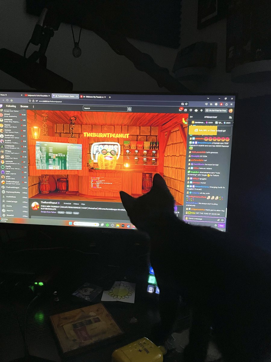 my son is a bungulator <a href="/theburntpeanut/">theburntpeanut</a>