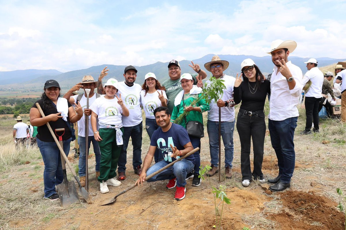 Eva Diego tweet media