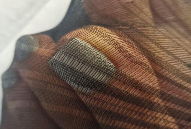 صباع رجل مستريس رولا العرب 
تحب تتخيلو غبوقك بتمصه وله فبوق امك غصب وبتنض،رب على قفاها عشان تمصه