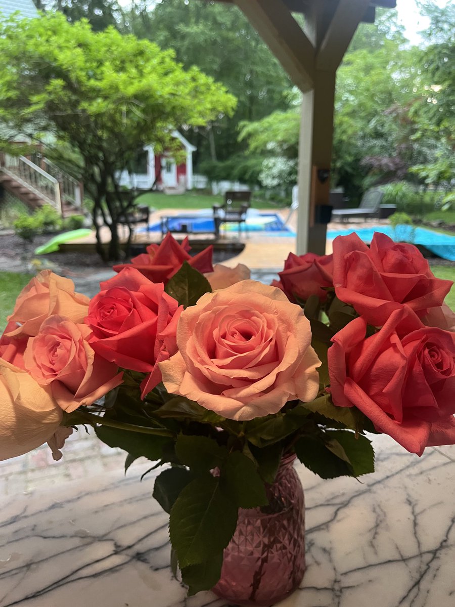 How gorgeous are these? Roses make me smile😃