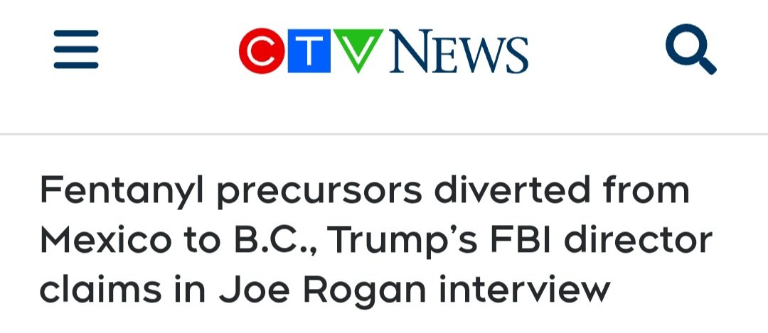 Elenore Sturko tweet media