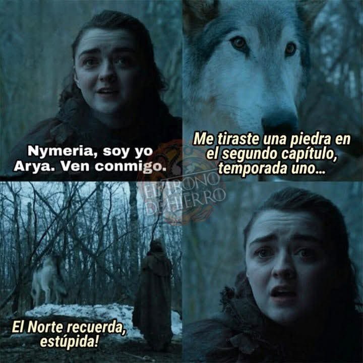 El Norte recuerda, estúpida!🐺