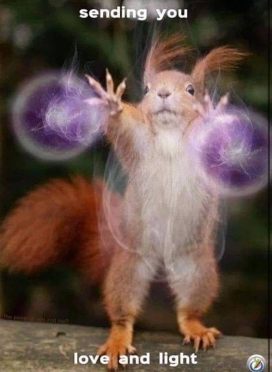 愛と癒しの波動を贈ります✨