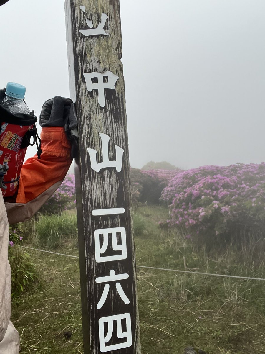 Fuko0610's tweet image. 久々の
おはようございますꕤ︎︎·͜·
先週ᨒ6/2〜6/5
九重連山
法華院温泉♨️
すがもり越え🪨🪨
立中山🌸🌸𓂃𓂂🍃
久住山 沓掛山
湯布院♨️由布岳
行ってきました…ᰅ‹ᰅ‹🥾
楽しいᨒ𖤣𖥧山旅でした
良い1日を…
(ღ*ˇ ˇ*)。o☕𓈒𓏸︎︎︎︎
立中山🌸ミヤマキリシマ花園
サラサドウダン
