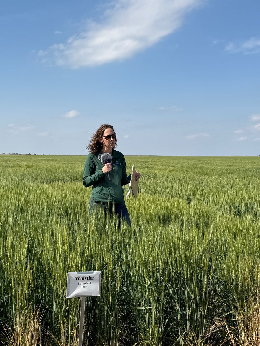 Thanks to everyone who joined us this week for field days. Things are a little different this year with cooler temperatures and having to move two locations inside due to rain. But we are extremely thankful for the moisture! The tour will end on Tuesday in Julesburg and Orchard.
