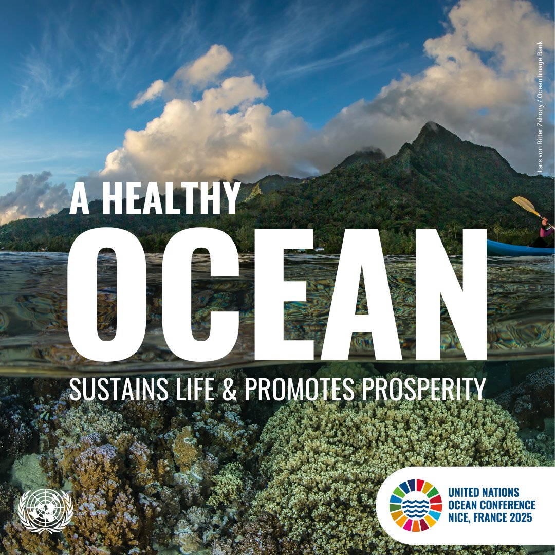 UN Biodiversity (@unbiodiversity) on Twitter photo On #WorldOceansDay let us remember not to take the ocean for granted. The vast blue expanse wrapping around continents sustains life, regulates the 🌏climate, feeds billions, supports livelihoods and inspires cultures.
🔵Statement by <a href="/SchomakerAstrid/">Astrid Schomaker</a>: 🔗cbd.int/article/world-… On #WorldOceansDay let us remember not to take the ocean for granted. The vast blue expanse wrapping around continents sustains life, regulates the 🌏climate, feeds billions, supports livelihoods and inspires cultures.
🔵Statement by <a href="/SchomakerAstrid/">Astrid Schomaker</a>: 🔗cbd.int/article/world-…