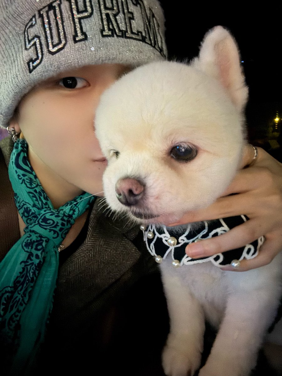 보고싶다 내 애햄이