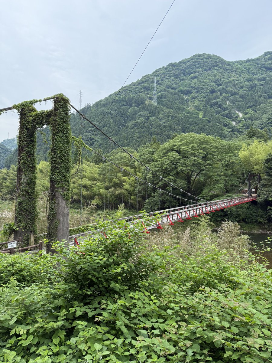 揖斐川町の宮山橋、通称 恋のつり橋
ちょっと揺れる木製の橋
橋ができた後、両岸の地域の男女が結ばれることが増えたためこの通称で呼ばれるようになったとか
#恋のつり橋 #揖斐川町
#megurok3