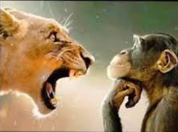 🇫🇷Jean Chêne tweet media