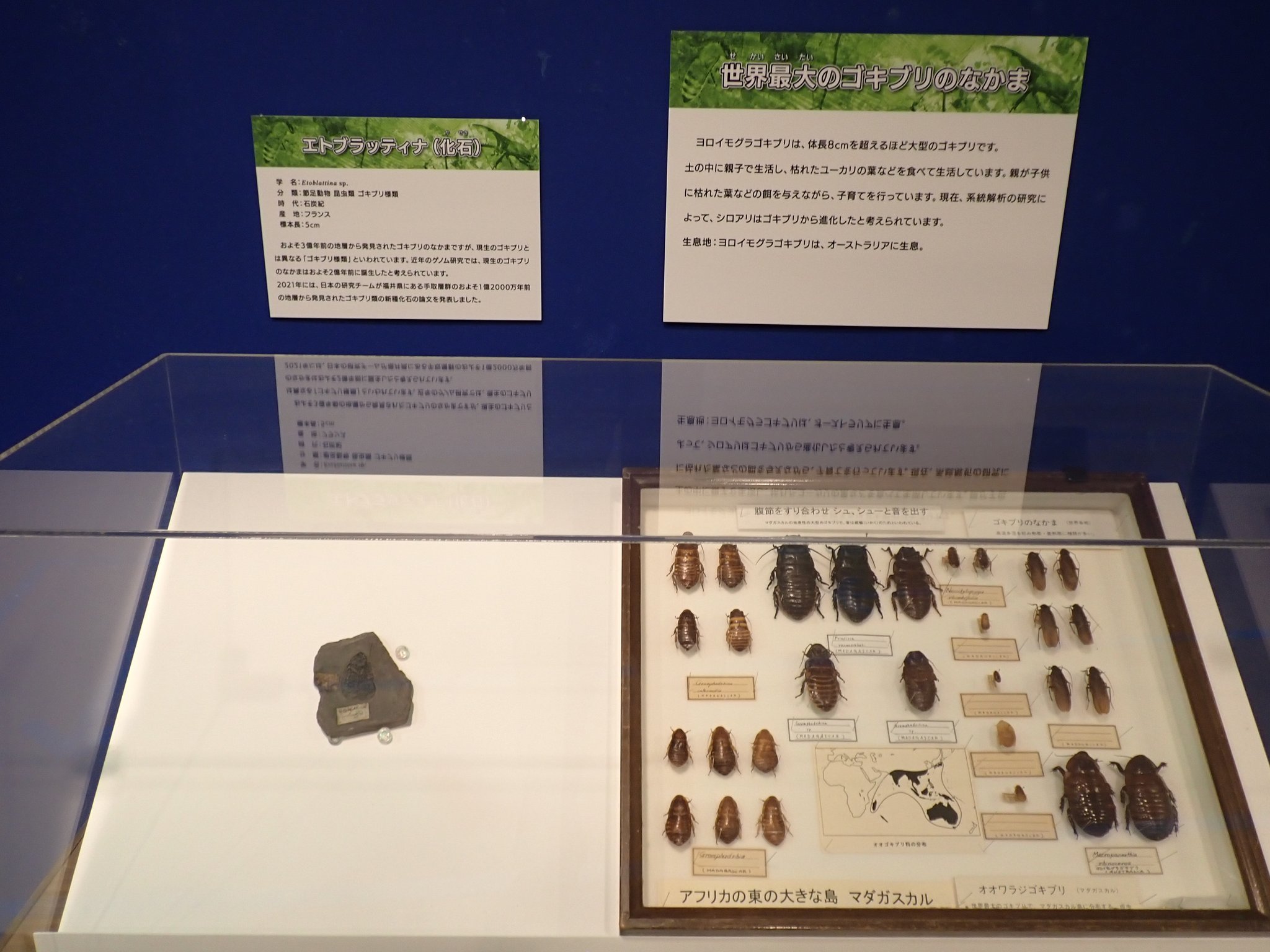 さいたま市青少年宇宙科学館 on X: 