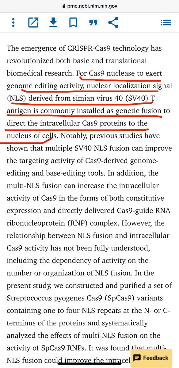 So the Covid injections installed the pre-requisite SV-40 for the CRISPR technology 

Lovely. 
So diabolical 
Criminal genetic therapy 

pmc.ncbi.nlm.nih.gov/articles/PMC88…