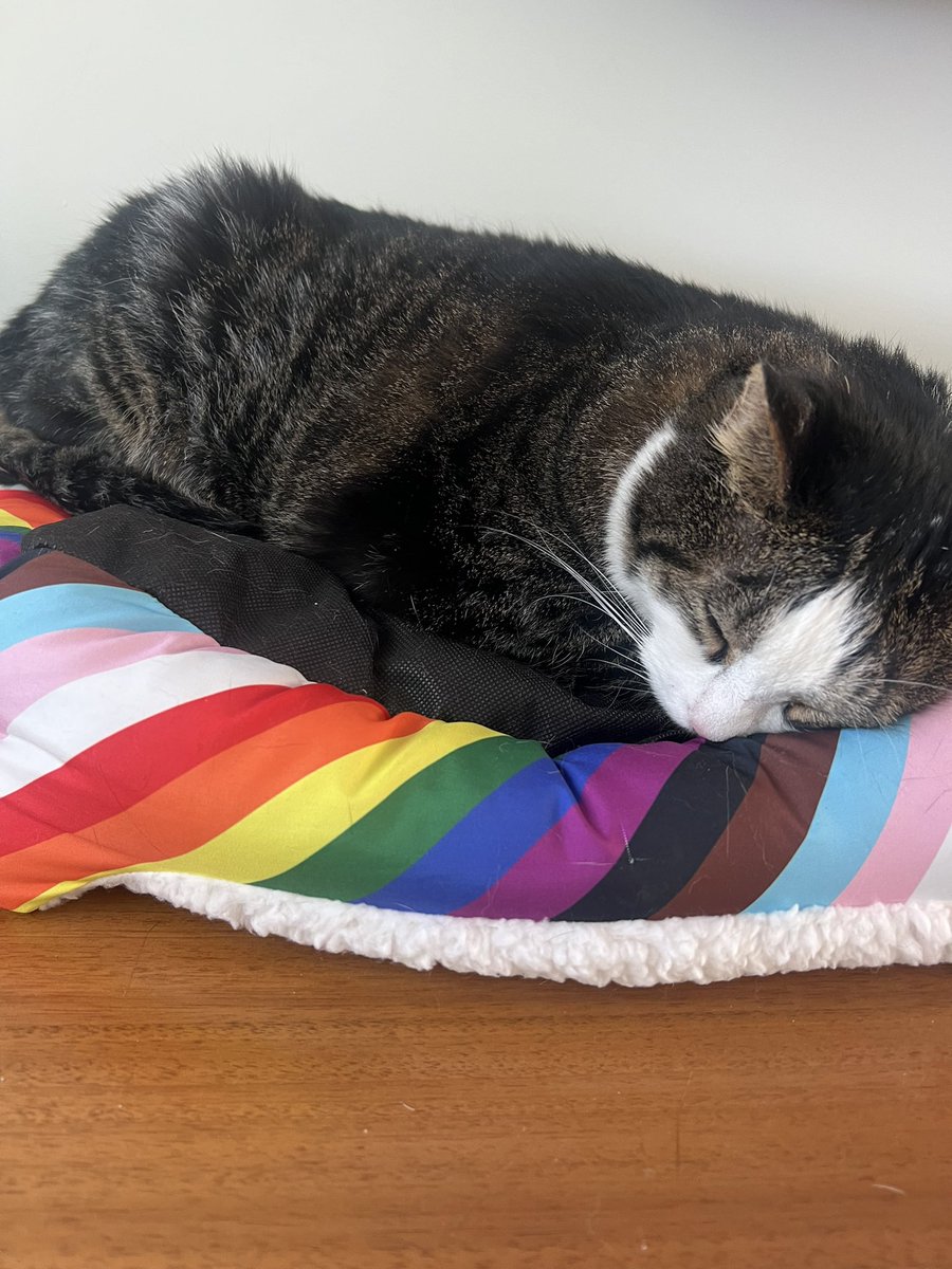 Amy Bonaduce tweet media