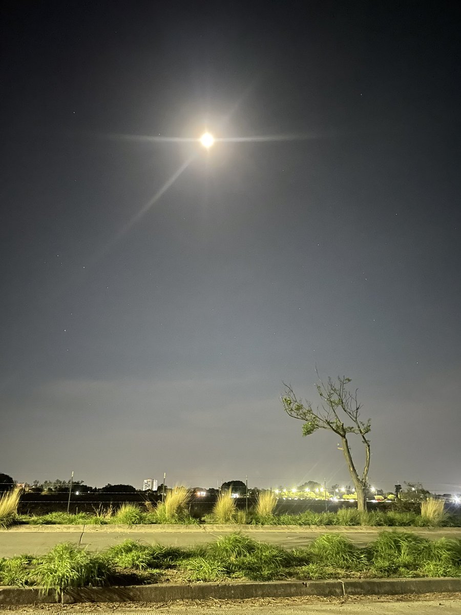 Puedo hablar de las noches que estuvimos sin estar
De mis besos que no recibiste
De la Luz de Luna que no viste
De mi cuerpo y lengua que deseaste
Y de mi lujuria que a la distancia sí sentiste…

#Limerencias 

Junio 7, 9:00 pm 👇🏻