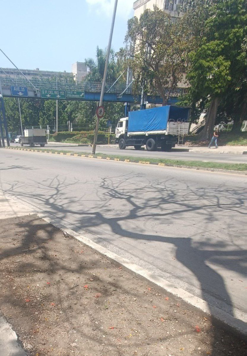 Pasarán a la historia como la dictadura que le temía a los universitarios. Pencos.

Esto es en las afueras de la CUJAE.

Y pregunto, si todo está tranquilo, si todo es un invento desde el extranjero ¿cuál es el miedo de ustedes?

#EsLaHora