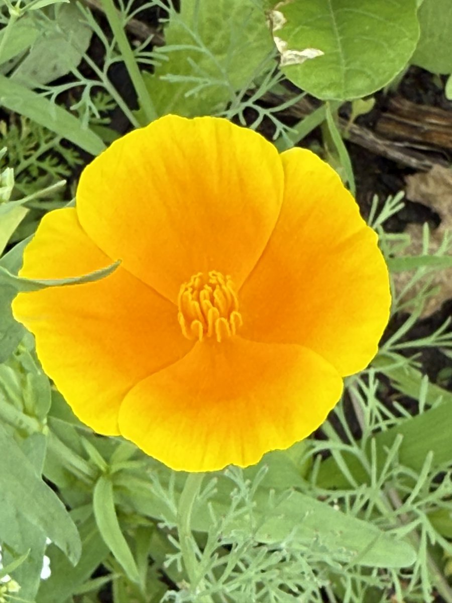 John Christiansen tweet media