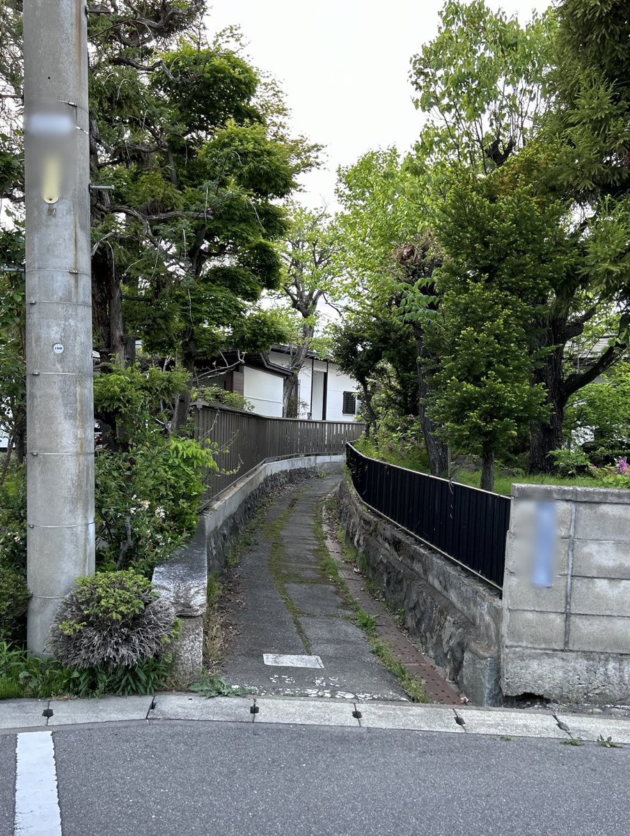 iiroji_bot's tweet image. 