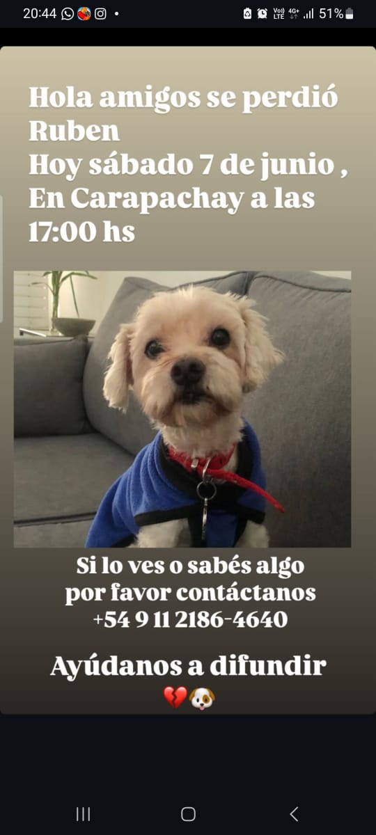 🚨AYUDA!!! AYUDA!!!🚨
SE PERDIÓ RUBEN!!!!