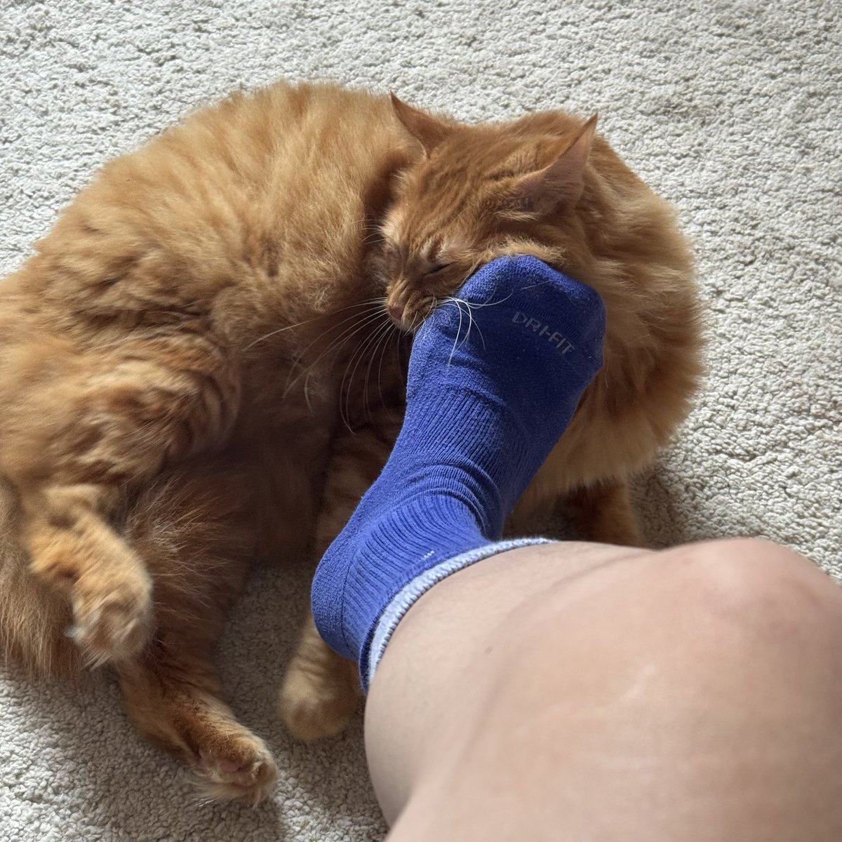 iamlookingforlove tweet media