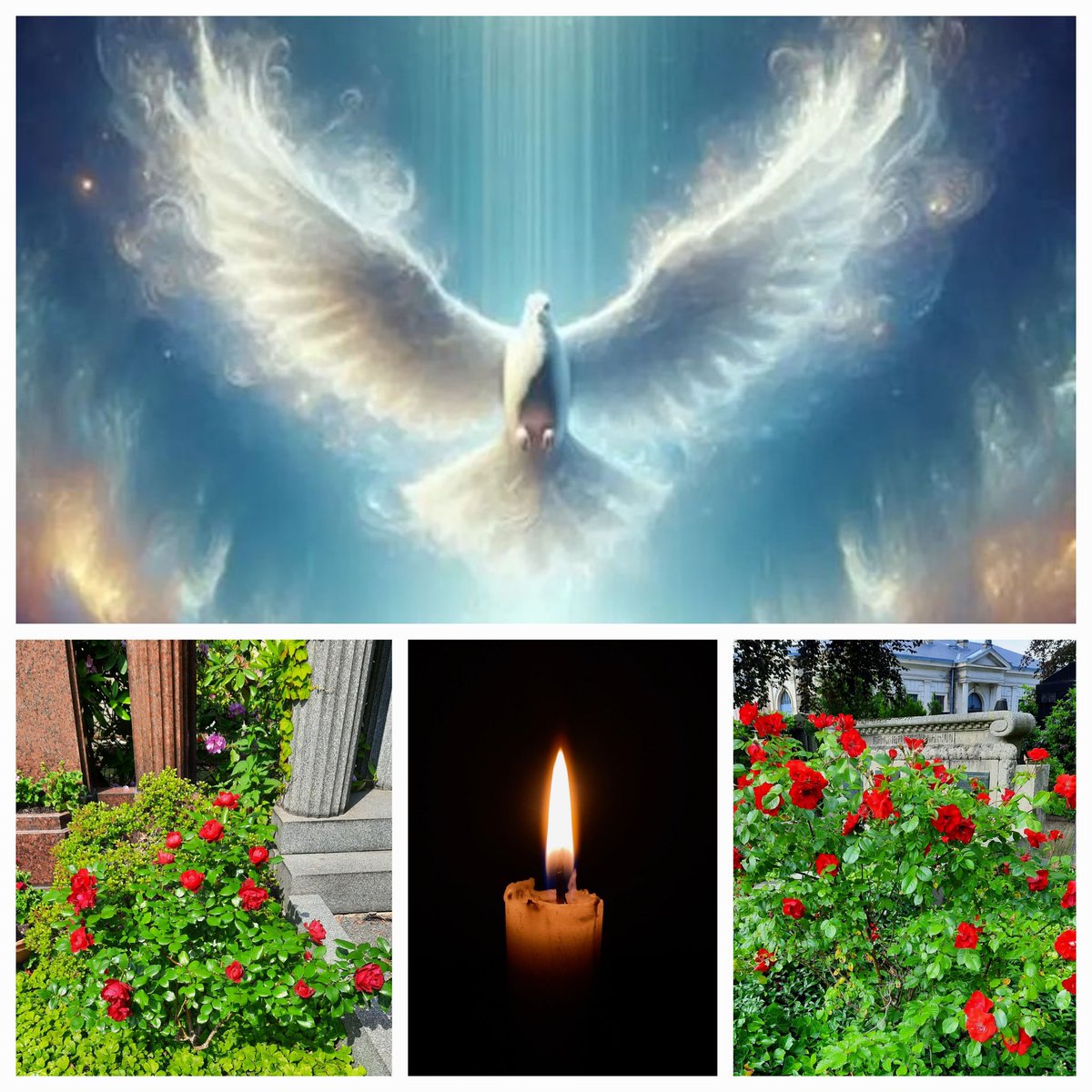 Es gibt verschiedene Gnadengaben, aber nur den einen Geist... 1 Kor 12,4-5
"Meine leeren Hände will ich dir hinhalten, Hl. Geist, sie öffnen für die Fülle des Lebens. Wie eine Schale fülle mich, Hl. Geist, mit Gedanken des Friedens u. der Versöhnung."
(Gottes Wort für jeden Tag)