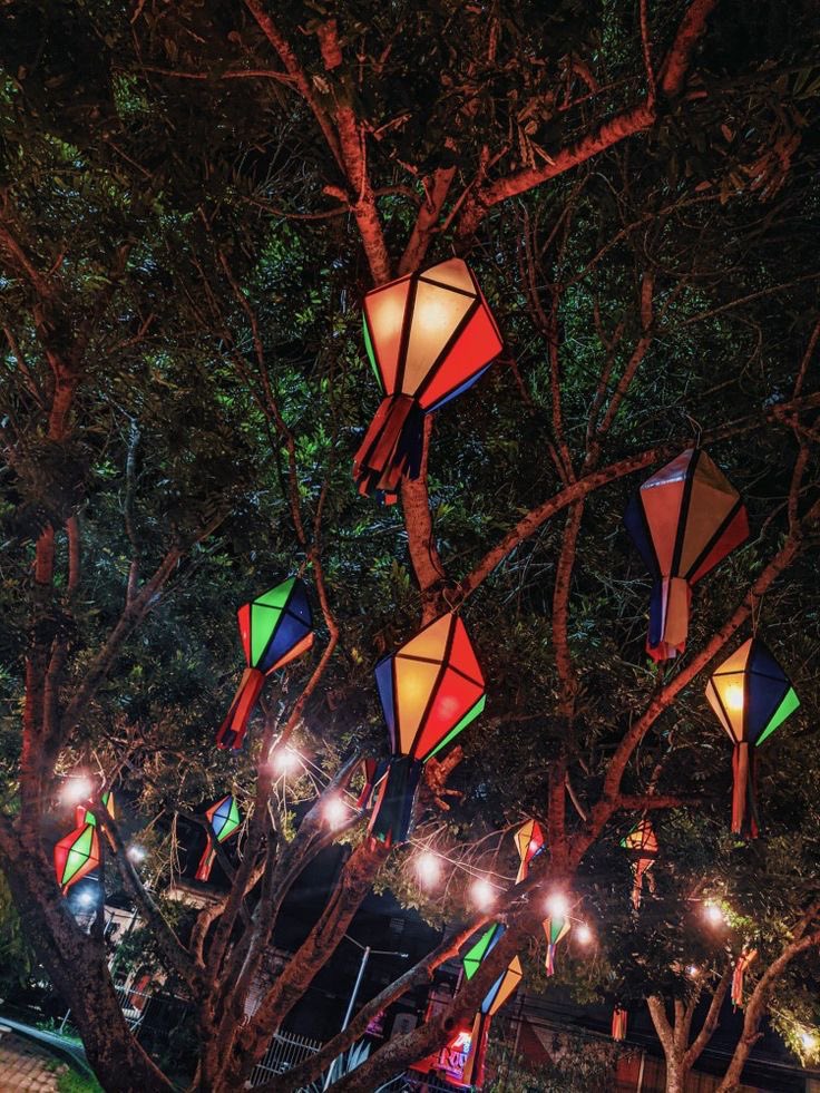 bora  #𝐙𝐅𝐄𝐒𝐓𝐀jᥙᥒιᥒᥲ