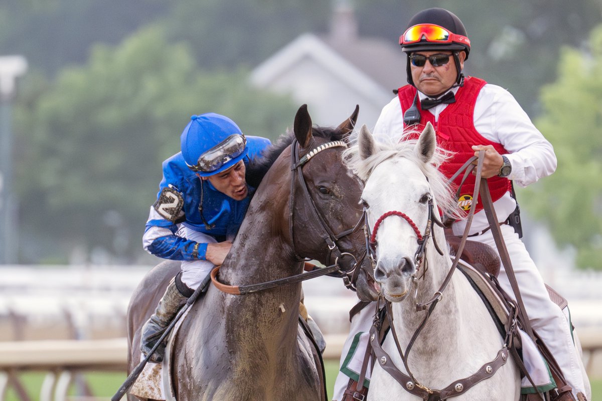 EricaPhotog's tweet image. Sovereignty, trained by Bill Mott and ridden by Junior Alvarado, wins the Grade I Belmont Stakes of the #BelmontStakes Racing Festival #SaratogaRaceCourse #Saratoga @JuniorandKellyA @godolphin