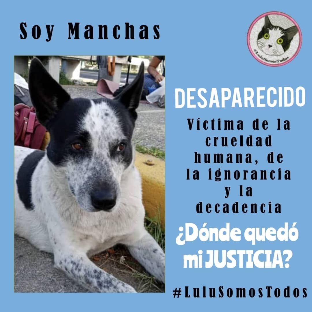 #7Jun #TWITTAZO #X. Todos tenemos el deber de dar buenos ejemplos. #farmatodo, #DondeEstaManchas?  El #SilencioTotal no es respuesta, ni exime responsabilidad. #LuluSomosTodos. #Seguimos!