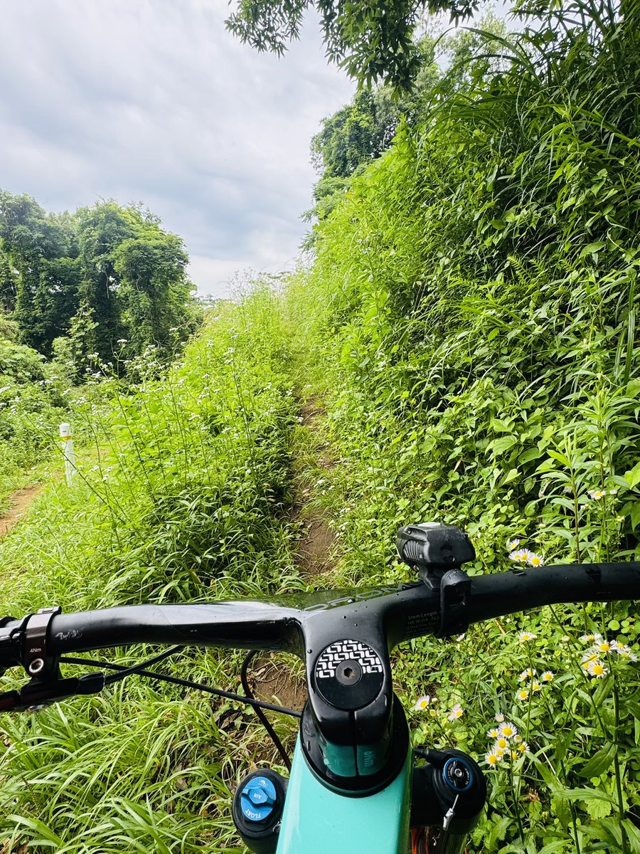 ride_food_love's tweet image. 今朝はパラパラ雨降ってきたから、パーク行くのやめて近所を探検🚴‍♂️

途中観た紫陽花綺麗だった🪻

#MTB
#elvesbike
#NANDOR