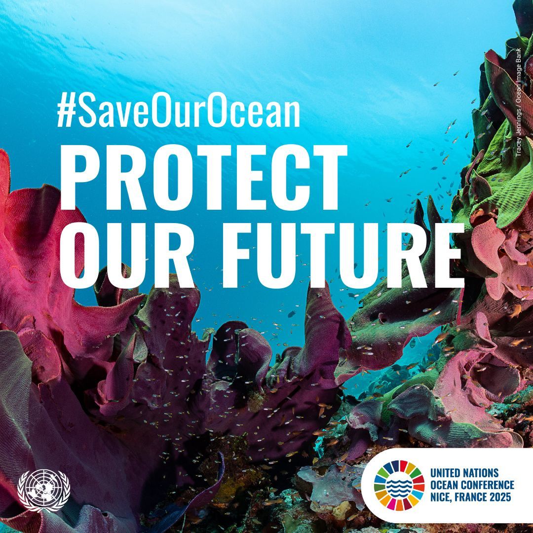 The 3rd UN Ocean Conference #UNOC3 kicks off in Nice🇫🇷 this Monday🌊

Its mission: to confront a deepening ocean emergency that scientists warn is nearing a point of no return. 

It's time to take action to #SaveOurOceans &amp; protect our future.

➡️ buff.ly/7VmhTas