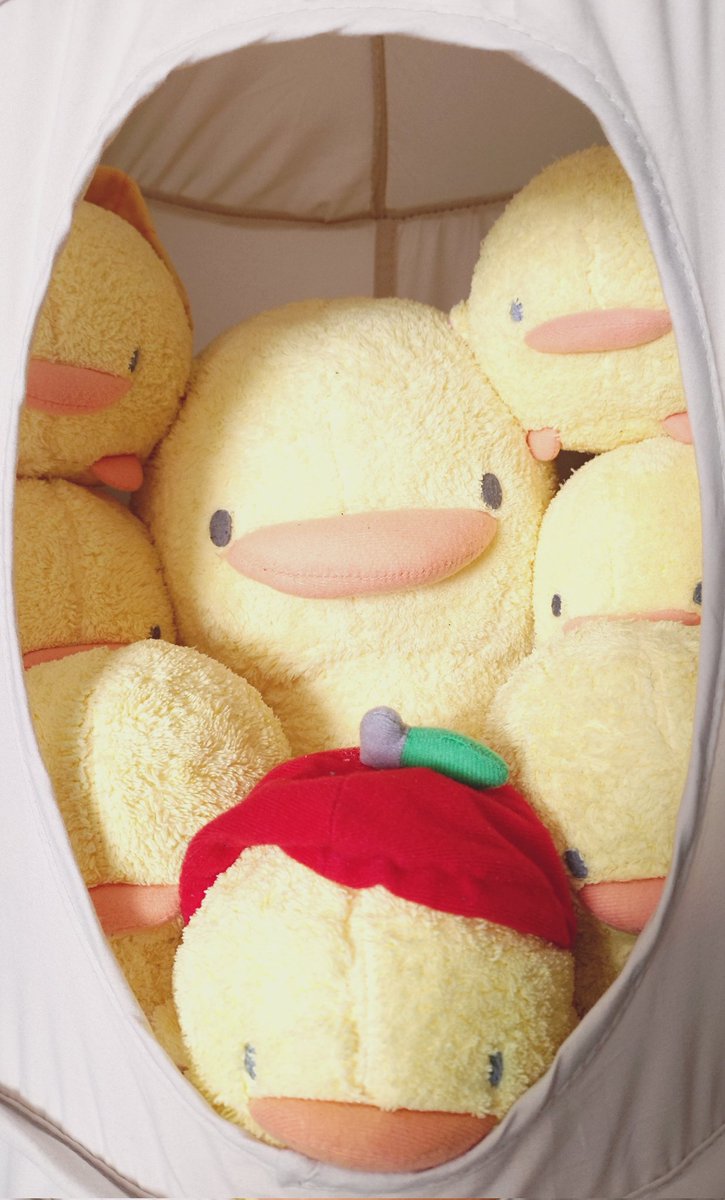 マザーグースの森 ぴよちゃん ほんわか 抱き枕 ぬいぐるみ マザーガーデン マザーガーデン くたくた ぴよちゃん ぬいぐるみ クリエイティブ