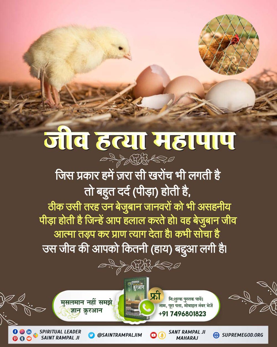 #NoSaint_EverAte_Meat
जिस प्रकार हमे ज़रा सी खरोंच भी लगती है तो बहुत दर्द (पीड़ा) होती है,
ठीक उसी तरह बेजुबान जानवरो को भी असहनीय पीड़ा होती है जिन्हे आप हलाल करते हो। जीव आत्मा तड़प कर प्राण त्याग देता है। कभी सोचा आपको कितनी (हाय) बद्दुआ लगी है।
Meat Eaters Are Great Sinners