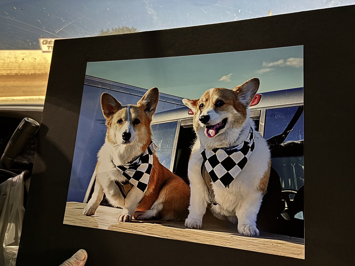 PushCorgi's tweet image. Thank you Debbie for this wonderful photo of Porter’s last laps around @PortRoyalSpdway ❤️🐾
