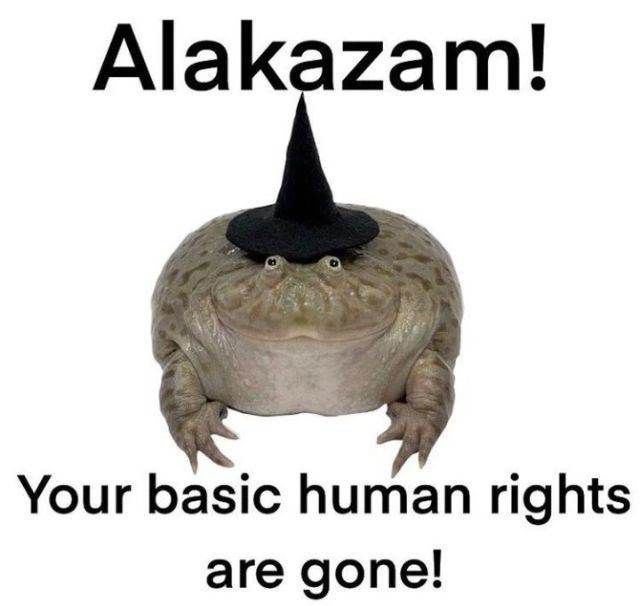 No Context Frogs (@nocontextfrogs) on Twitter photo 