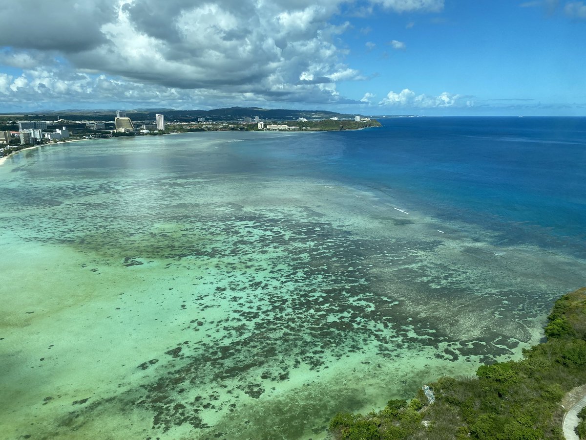 先日、数日間ほど海のある場所へ行ってきました。✈︎
足に何かがあたったので
ふと足元を見ると魚が沢山。
心の中で子供のようにはしゃいでしまう。
おじゃまします…と海に浸かりました。
父も近くでサーフィンしてるかもしれないなぁと、涙ぽろり。感情が忙しい。笑