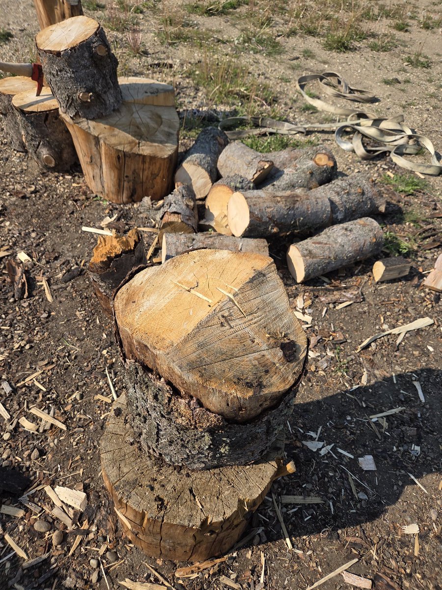 TheJagsBigBeard's tweet image. Have you ever heard wood laugh?
My 8lb maul is bouncing off this block.
I&apos;m going inside to watch a documentary on Taylor swift now. 
Probably listen to the entire Mariah Carey Xmas album too.
#Defeated