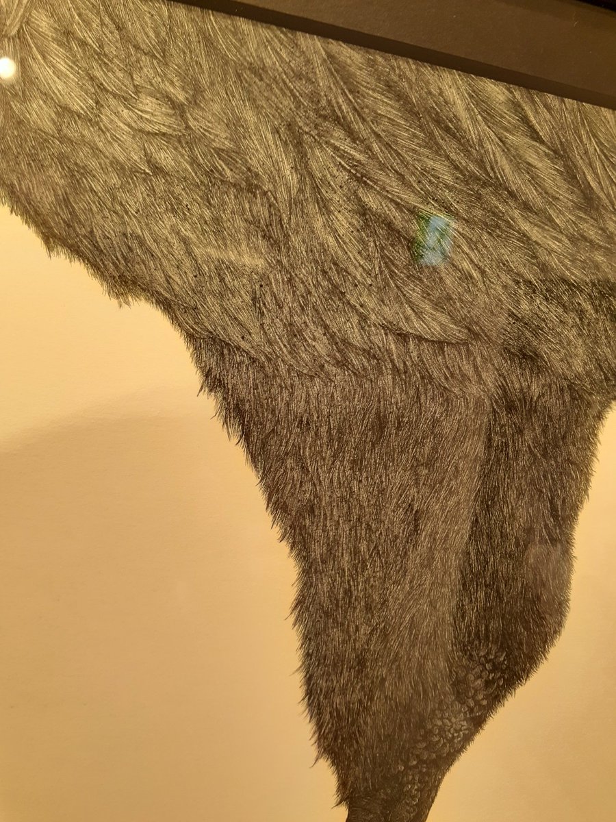 shinichi_re's tweet image. @elly_kawaguchi 
#DOTLINE 
#訪廊日記 

土曜日。
二年ぶりの @VinylTokyo での個展。
東京駅構内、グランスタ1Fという世界中の人々が歩く場所。
懐かしさと驚きが。

カラスの足の羽毛の密生ぶり🖤
女性の肩に咲く花の美しさよ🌺