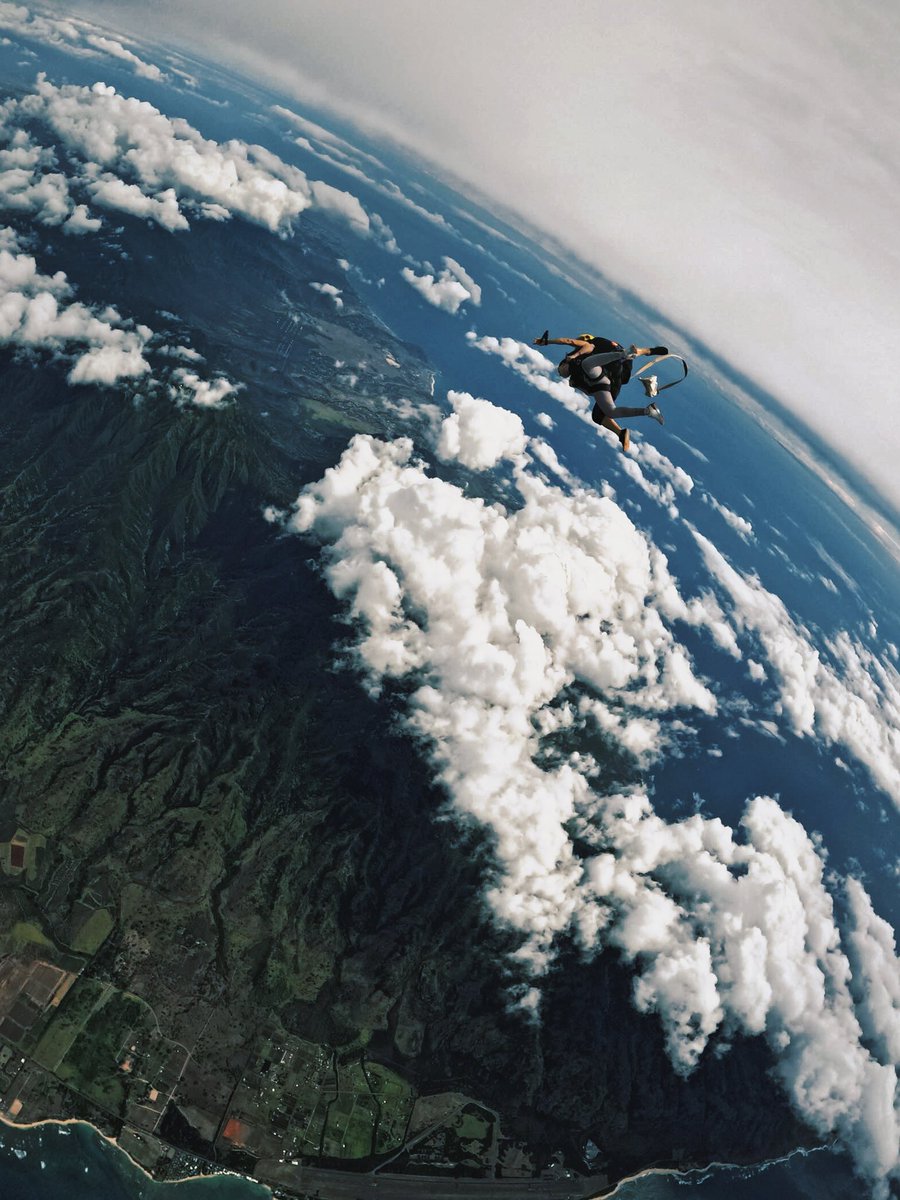 Zichen Chen (🐱,💖) tweet media