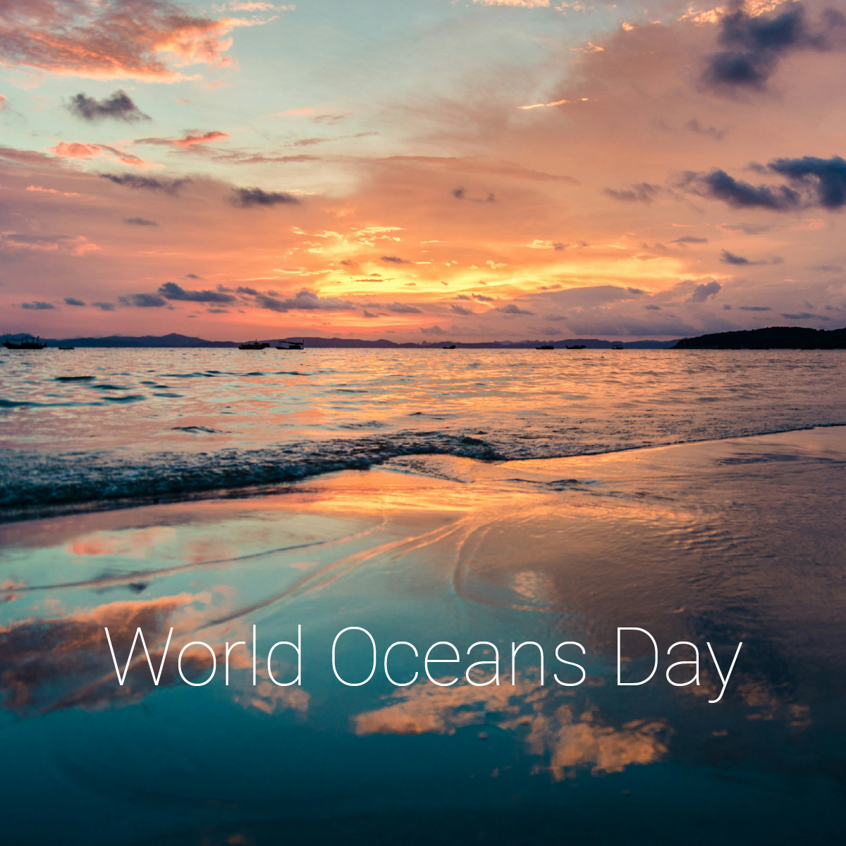 PrescienceTech's tweet image. This World Oceans Day, #TeamPrescience reflects on the importance of protecting what connects us all. We’re proud to support innovation that reduces environmental impact, protects biodiversity and promotes long-term resilience.