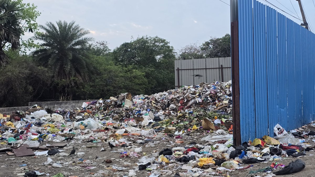 Saving_Nanlake's tweet image. NGT has taken Suo Moto cognizance on dumping in the canal. Not too far for dump yard near Nanmangalam lake where the garbage is dumped by Panchayath despite the SWM rules. 
@NGTribunal @Tnpcbofficial @DISTRICTCPT
 #garbagedumping @dt_next