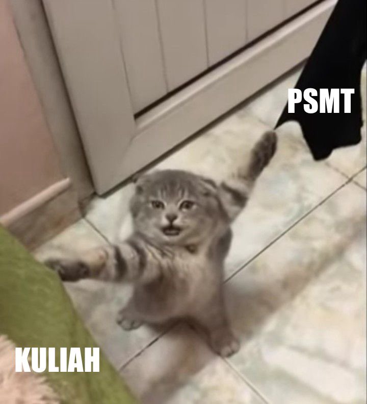 PSMTUNDIP's tweet photo. Walau begitu, kuliah dan PSMT harus tetep balance ya ‼️Hihi https://t.co/1snZLNhBOn