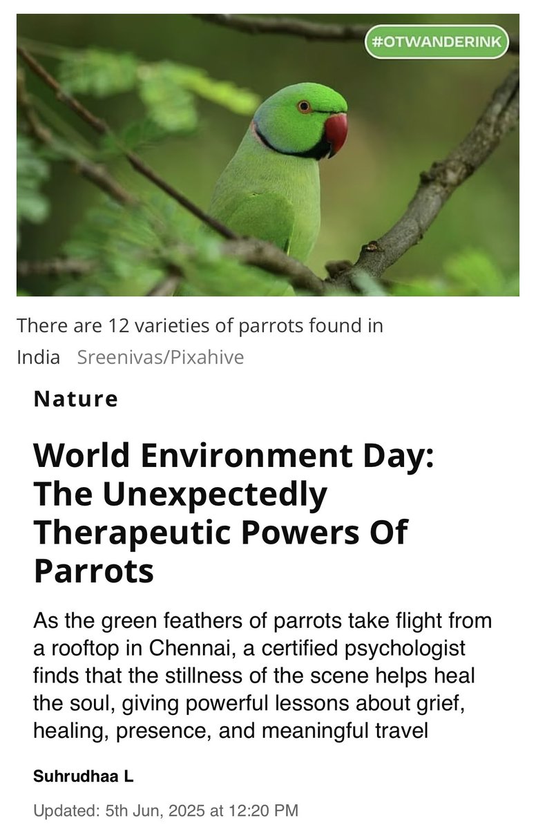 That would be a parakeet luv