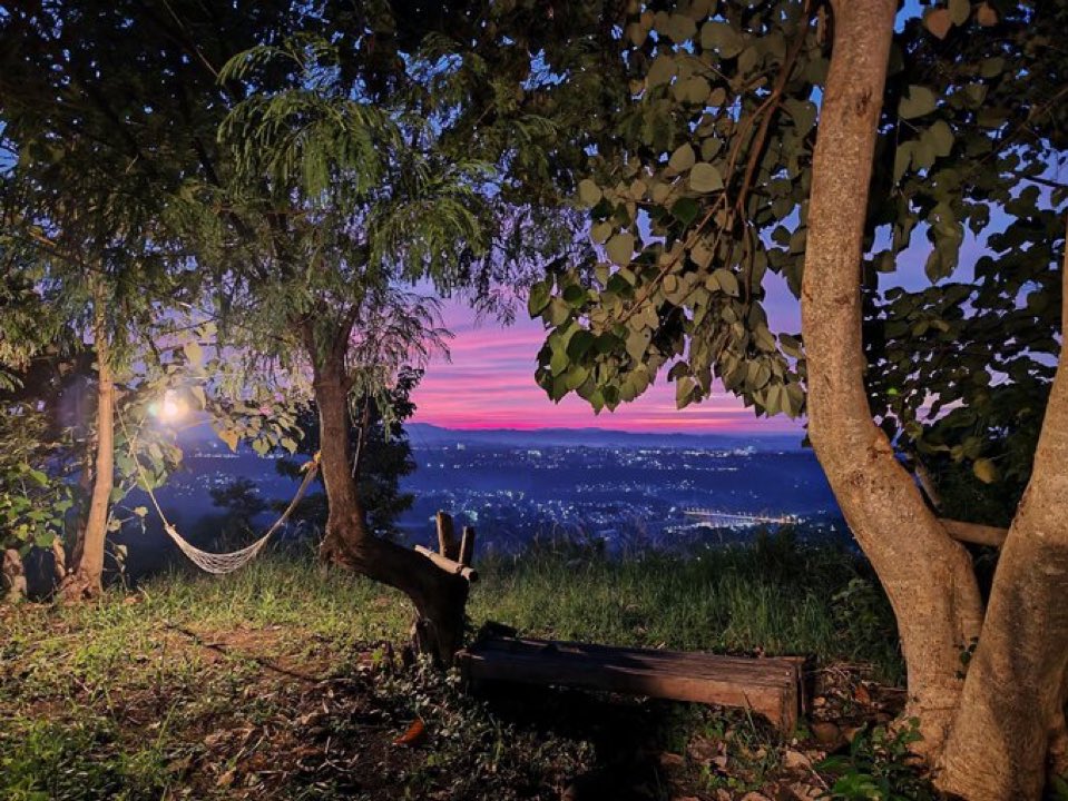 __clli's tweet image. 