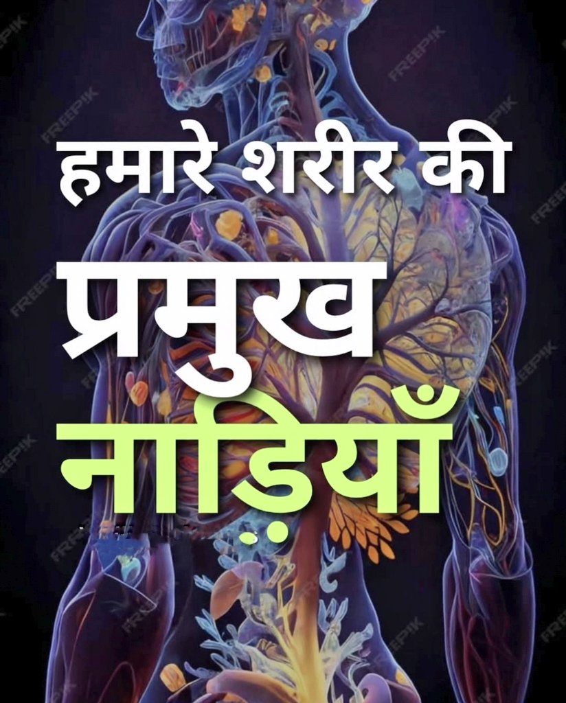 क्या आप जानते हैं?
हमारे शरीर में 72,000 से भी अधिक नाड़ियाँ होती हैं, लेकिन इनमें से 16 नाड़ियाँ विशेष रूप से मानसिक, शारीरिक और आत्मिक ऊर्जा को नियंत्रित करती हैं। यह प्राण (life force/energy) के प्रवाह को संचालित करती हैं। योग और आयुर्वेद में इनका अत्यंत महत्व है। 🧵