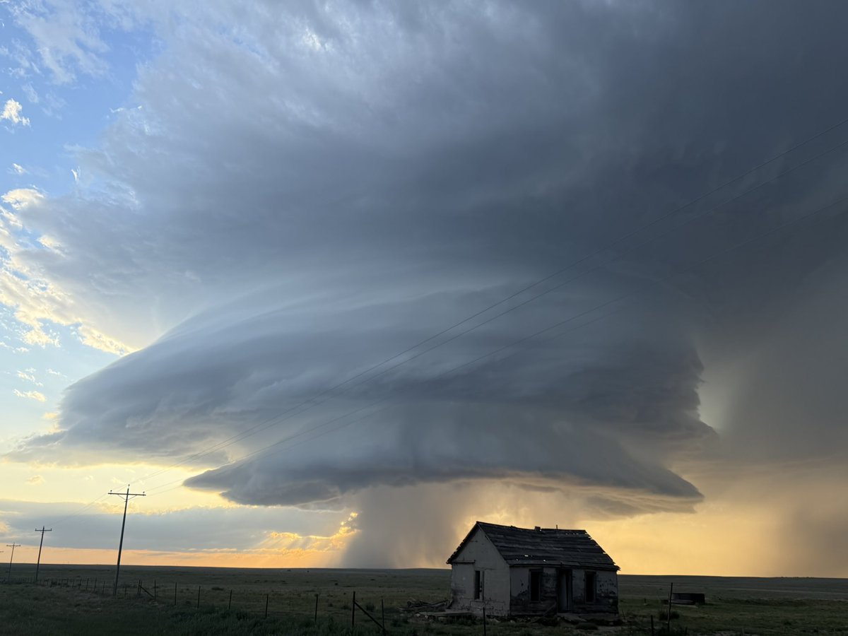 amyMhoward tweet media