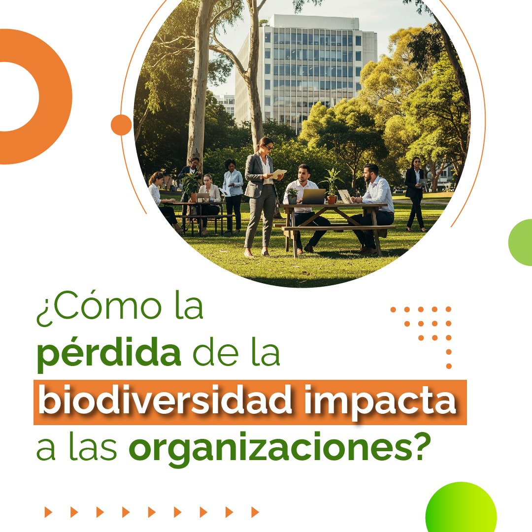 Laboratorio de Sostenibilidad Empresarial (@labsoste_puj) on Twitter photo Nuevo informe de la <a href="/UniJaveriana/">Pontificia Universidad Javeriana</a> "Biodiversidad, el camino a la #resiliencia #empresarial". Conozca los riesgos y oportunidades que la pérdida de biodiversidad representa para las empresas. labsostenibilidad.javeriana.edu.co/documents/5898… <a href="/FCEAJaveriana/">FCEAJaveriana</a> Nuevo informe de la <a href="/UniJaveriana/">Pontificia Universidad Javeriana</a> "Biodiversidad, el camino a la #resiliencia #empresarial". Conozca los riesgos y oportunidades que la pérdida de biodiversidad representa para las empresas. labsostenibilidad.javeriana.edu.co/documents/5898… <a href="/FCEAJaveriana/">FCEAJaveriana</a>