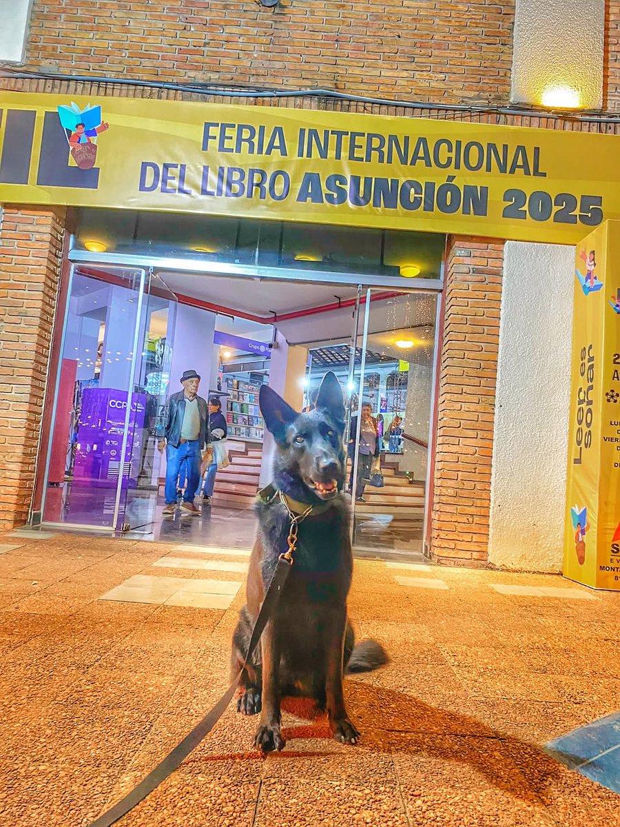 Pabla Thomen ❤ tweet media