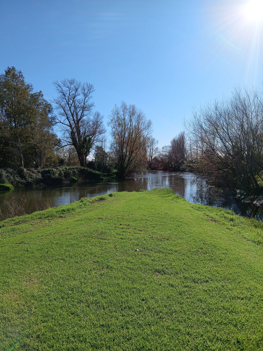 Perfect winter day in small town Aotearoa.