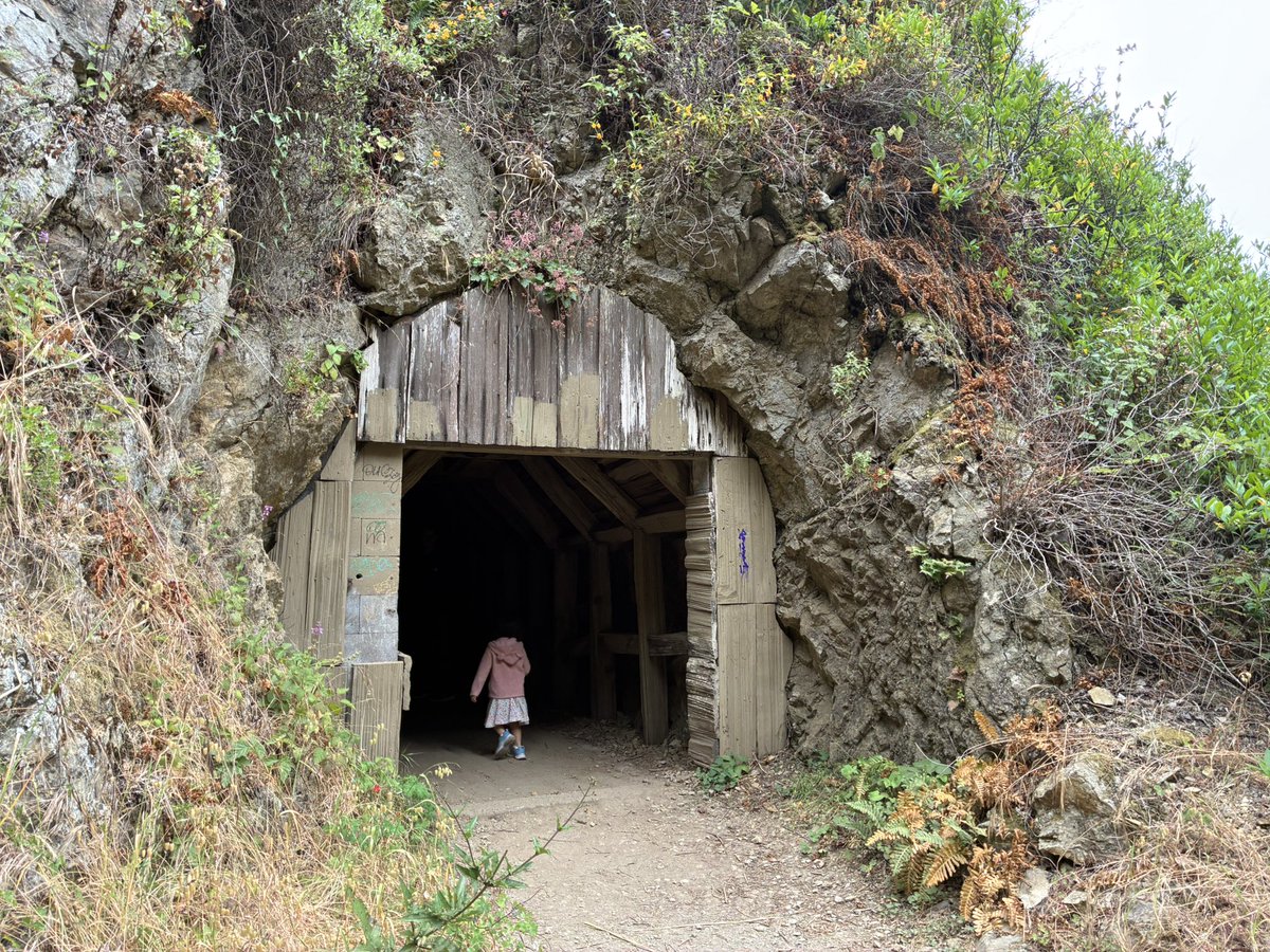 carollivestoeat's tweet image. Hiking through Big Sur with my little this weekend — fresh air, ocean views, and memory-making at every turn 🌲🌊❤️ #BigSur #FamilyHike #NatureLovers #WeekendAdventures #CaliforniaCoast #HikingWithKids